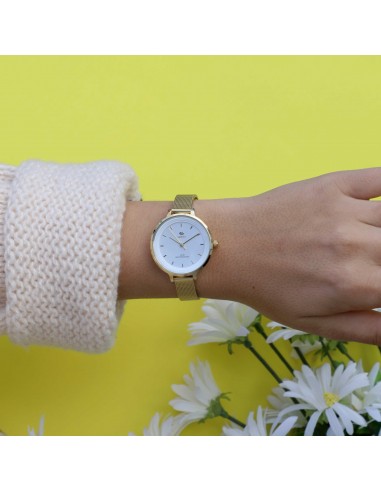 MAREA WATCH