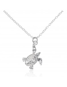 Conj. Con dije tortuga sin...