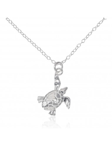 Conj. Con dije tortuga sin piedras