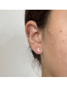 Tor.1/2 luna chata 2